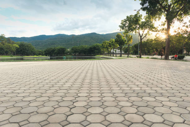 Best Residential Driveway Paver Services  in USA